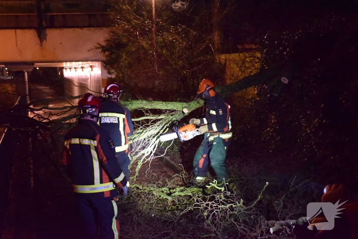 Voorbijgangers vinden omgeknakte boom op fietspad
