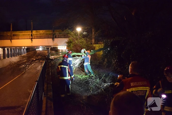 Voorbijgangers vinden omgeknakte boom op fietspad