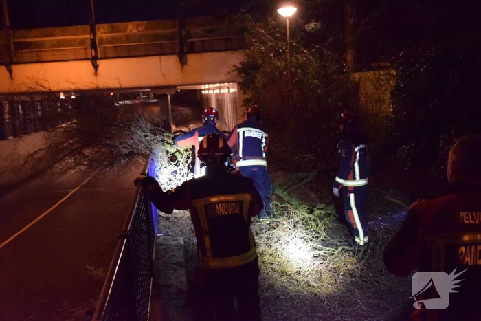 Voorbijgangers vinden omgeknakte boom op fietspad