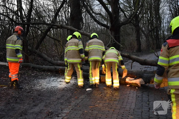 Omgewaaide boom verspert weg