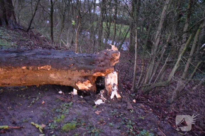 Omgewaaide boom verspert weg