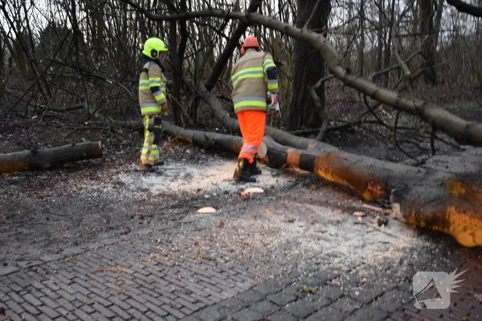 Omgewaaide boom verspert weg