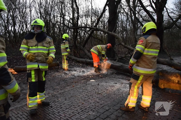 Omgewaaide boom verspert weg