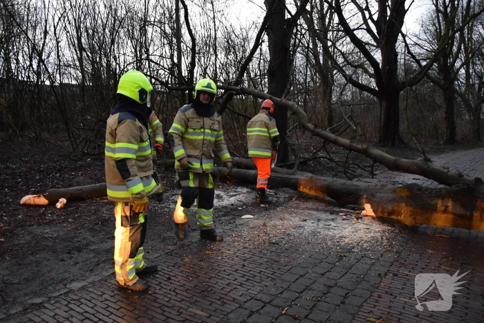 Omgewaaide boom verspert weg