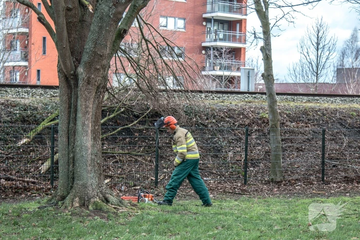 Meerdere takken op het spoor door storm Ciara