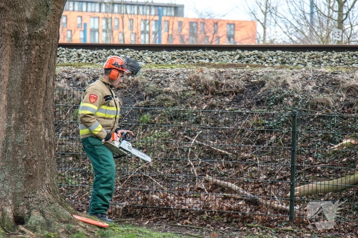 Meerdere takken op het spoor door storm Ciara