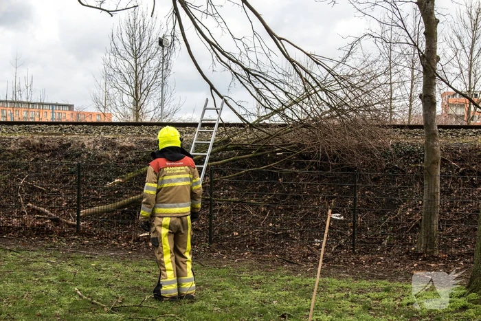 Meerdere takken op het spoor door storm Ciara