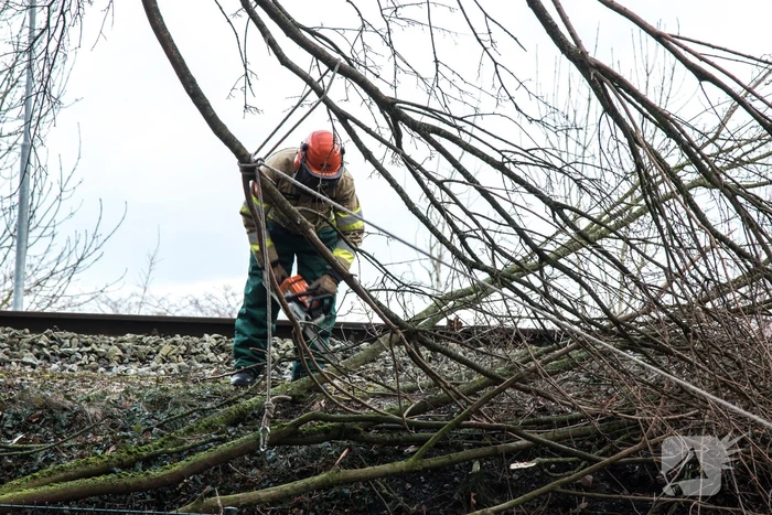 Meerdere takken op het spoor door storm Ciara