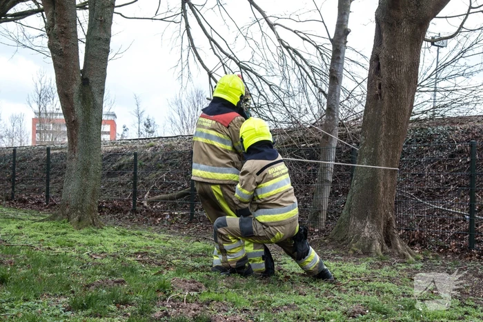 Meerdere takken op het spoor door storm Ciara