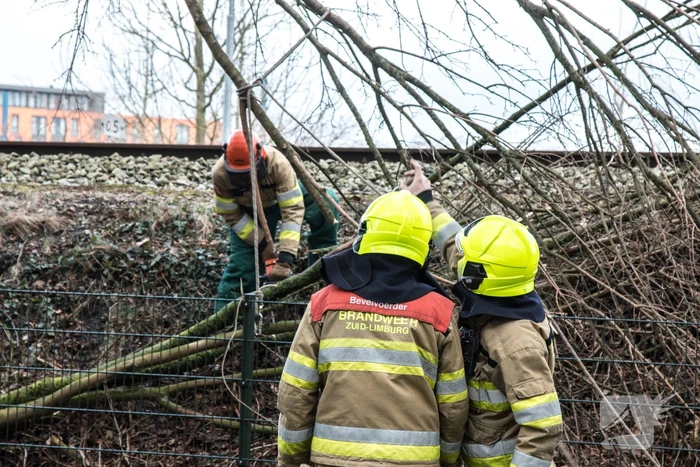 Meerdere takken op het spoor door storm Ciara