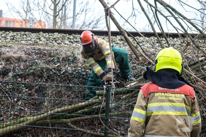 Meerdere takken op het spoor door storm Ciara