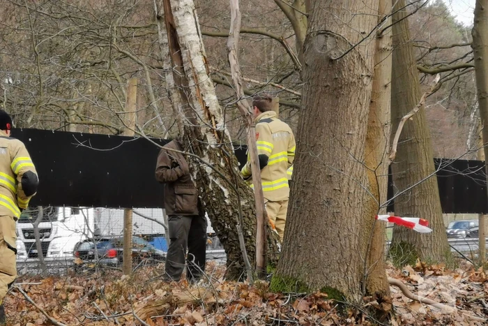 Boom dreigt op A12 te vallen