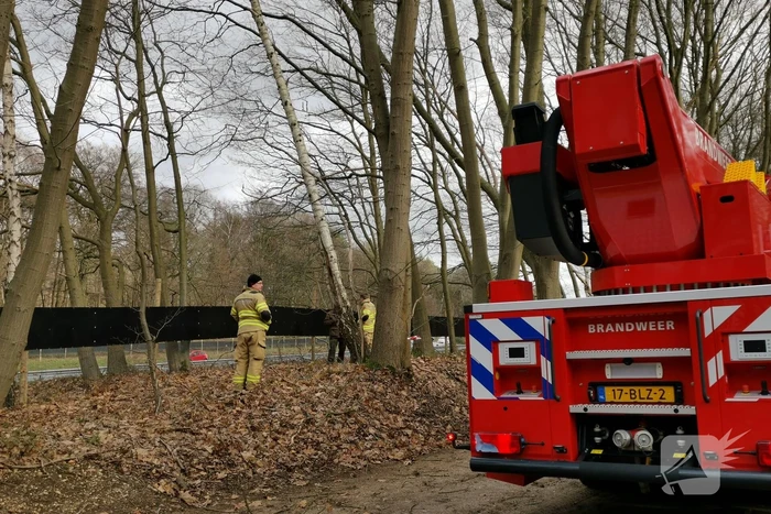 Boom dreigt op A12 te vallen