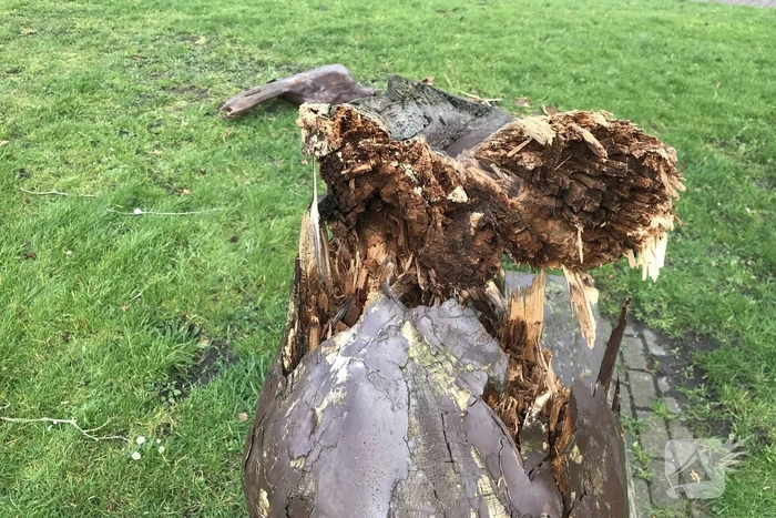 Kunstwerk Famke Mei Fugel heeft storm Ciara niet overleefd