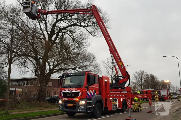 Weg afgesloten om afgebroken dikke tak