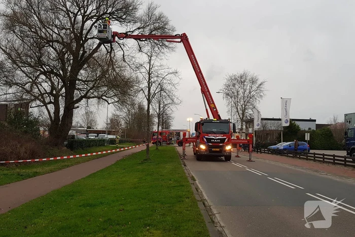 Weg afgesloten om afgebroken dikke tak