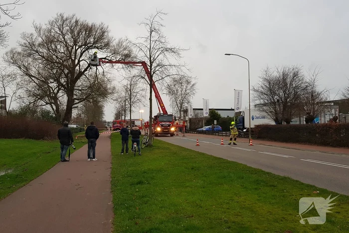 Weg afgesloten om afgebroken dikke tak