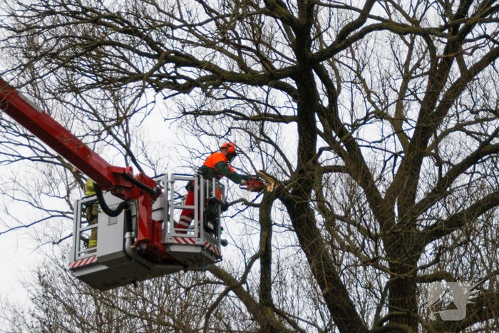 Weg afgesloten om afgebroken dikke tak