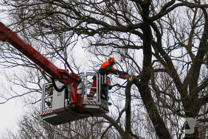 Weg afgesloten om afgebroken dikke tak