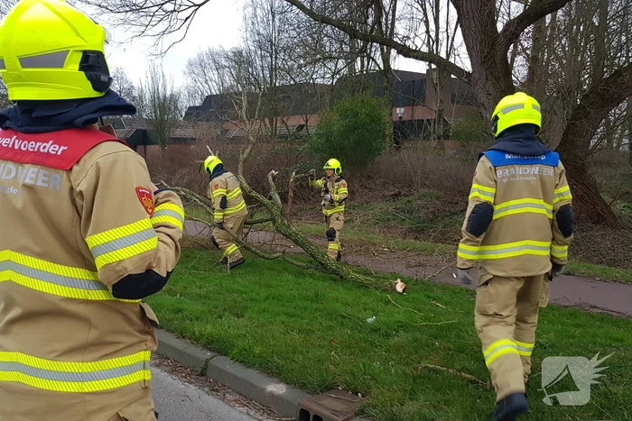 Weg afgesloten om afgebroken dikke tak