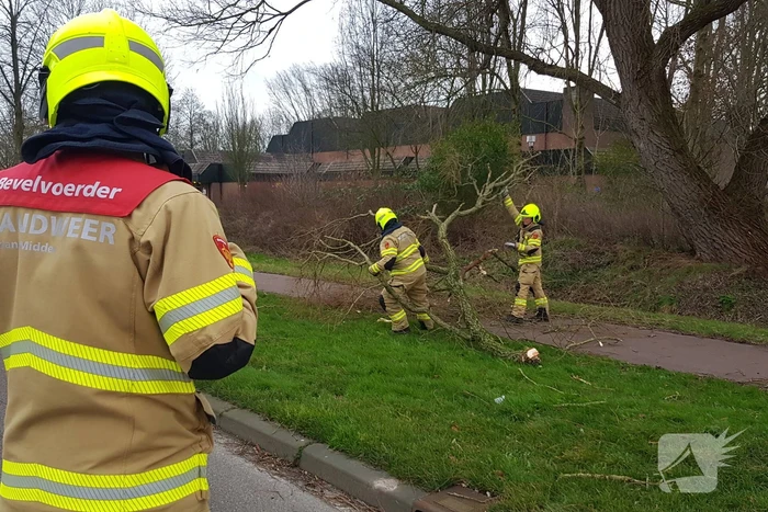 Weg afgesloten om afgebroken dikke tak