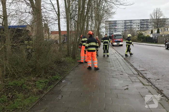 Brandweer haalt gevaarlijk hangende boom neer