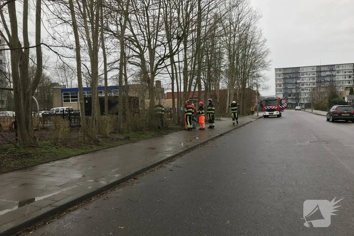 Brandweer haalt gevaarlijk hangende boom neer