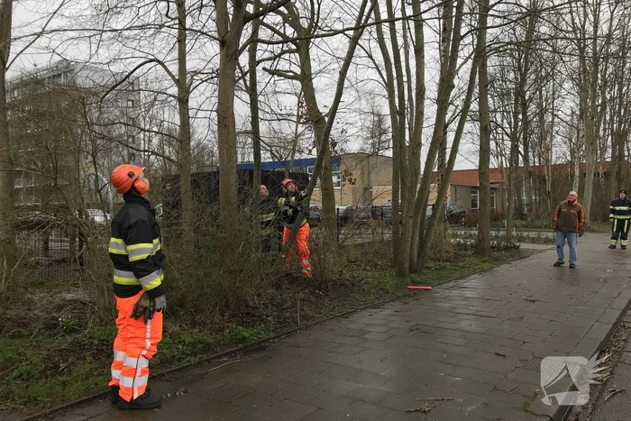 Brandweer haalt gevaarlijk hangende boom neer