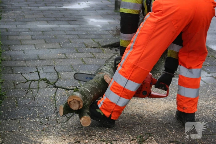 Brandweer haalt gevaarlijk hangende boom neer