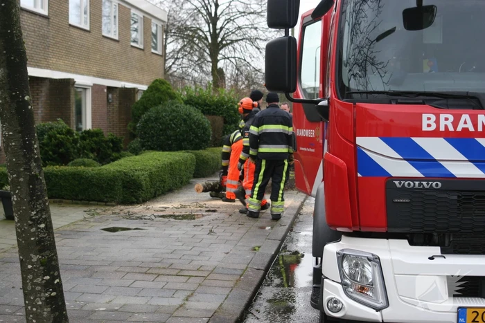 Brandweer haalt gevaarlijk hangende boom neer