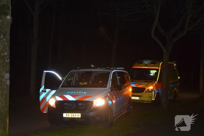 Auto botst tegen boom
