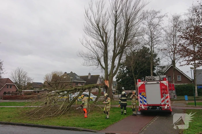 natuur grote beer veenendaal