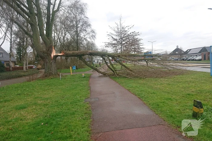 Afgebroken boom verspert fietspad