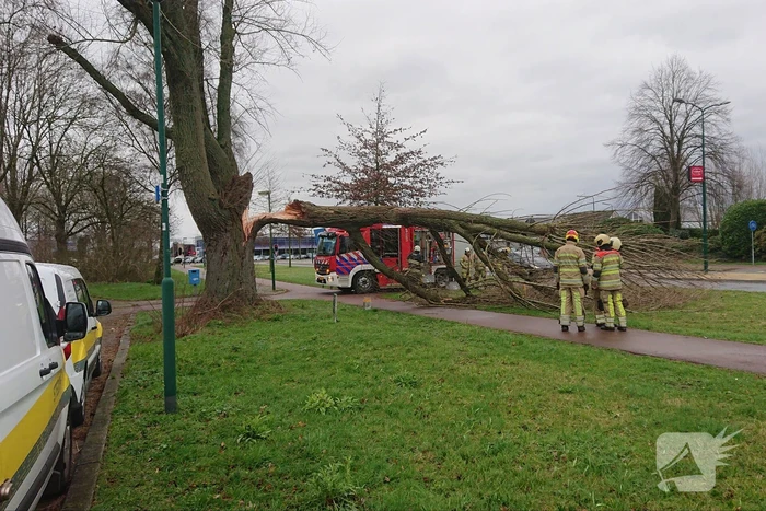 Afgebroken boom verspert fietspad