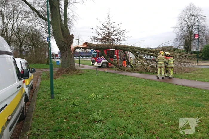 Afgebroken boom verspert fietspad