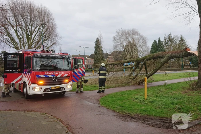Afgebroken boom verspert fietspad