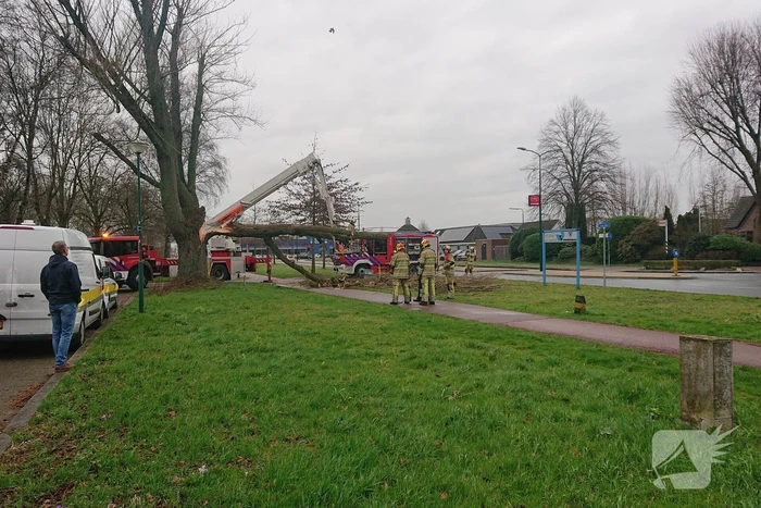 Afgebroken boom verspert fietspad