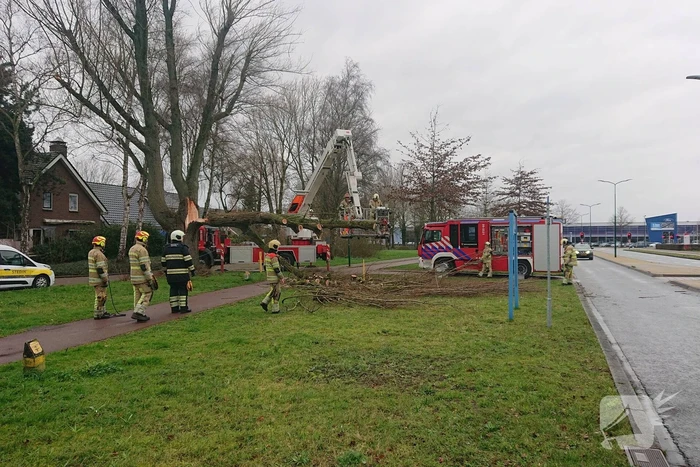Afgebroken boom verspert fietspad
