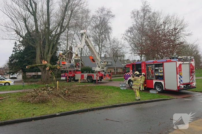 Afgebroken boom verspert fietspad
