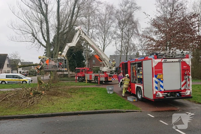 Afgebroken boom verspert fietspad