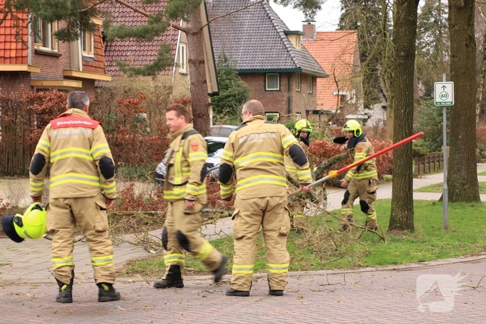 Gevaarlijk hangende tak verwijderd