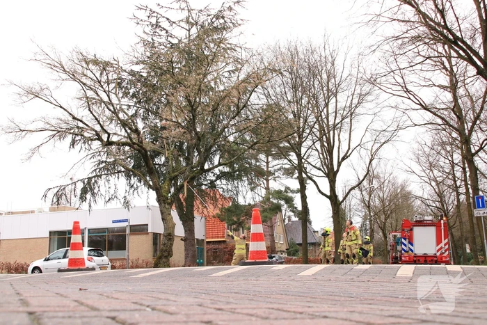Gevaarlijk hangende tak verwijderd