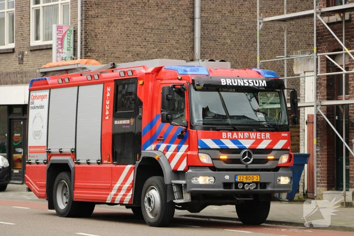 Hoge boom ingescheurd