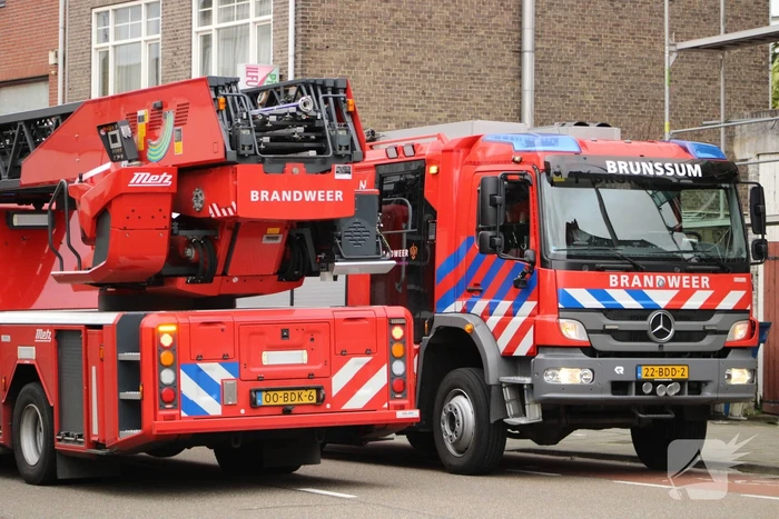 Hoge boom ingescheurd