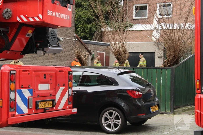 Hoge boom ingescheurd