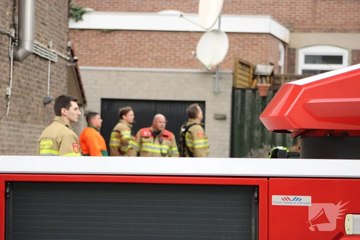 Hoge boom ingescheurd