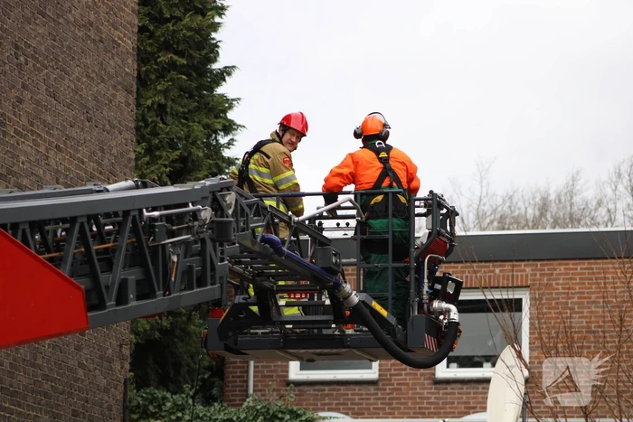 Hoge boom ingescheurd