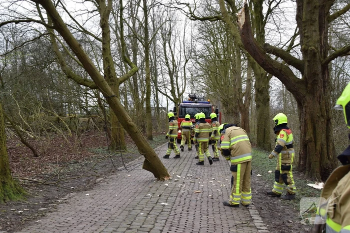 Deel van boom afgebroken door storm