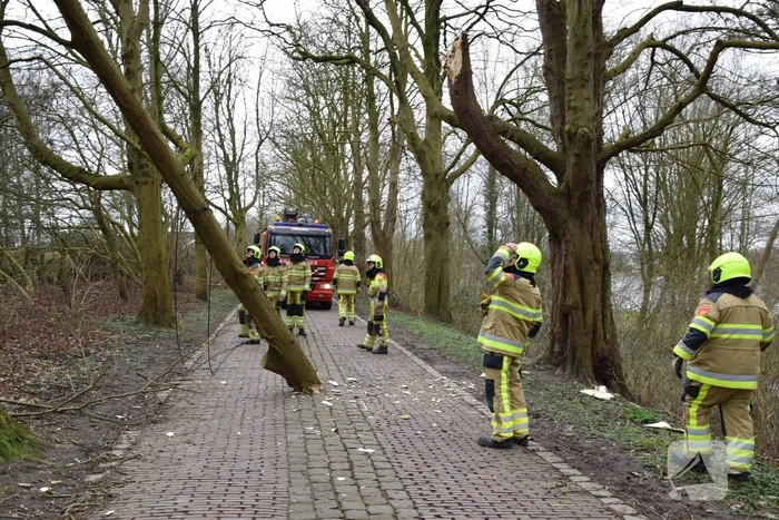 Deel van boom afgebroken door storm