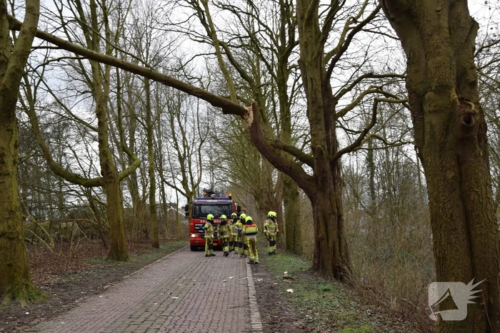 Deel van boom afgebroken door storm